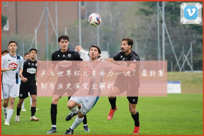 乒乓世界杯几年举办一次？最新赛制与历史演变全解析